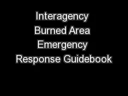 Interagency Burned Area Emergency Response Guidebook
