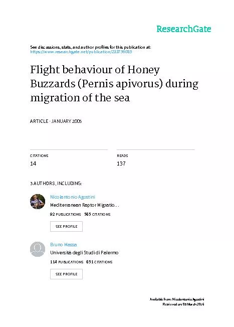 Flight behaviour of Honey Buzzards (