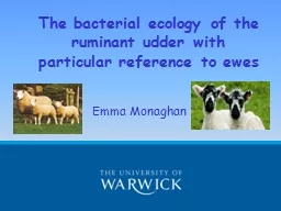 The bacterial ecology of the ruminant udder with particular