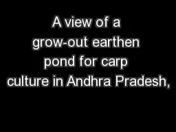 A view of a grow-out earthen pond for carp culture in Andhra Pradesh,