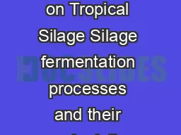 FAO Electronic Conference on Tropical Silage Silage fermentation processes and their manipulation