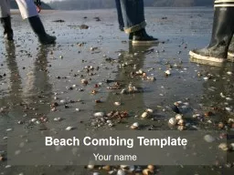 Beach Combing Template