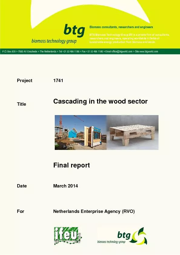 Cascadinginthewoodsector
