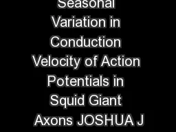 Seasonal Variation in Conduction Velocity of Action Potentials in Squid Giant Axons JOSHUA