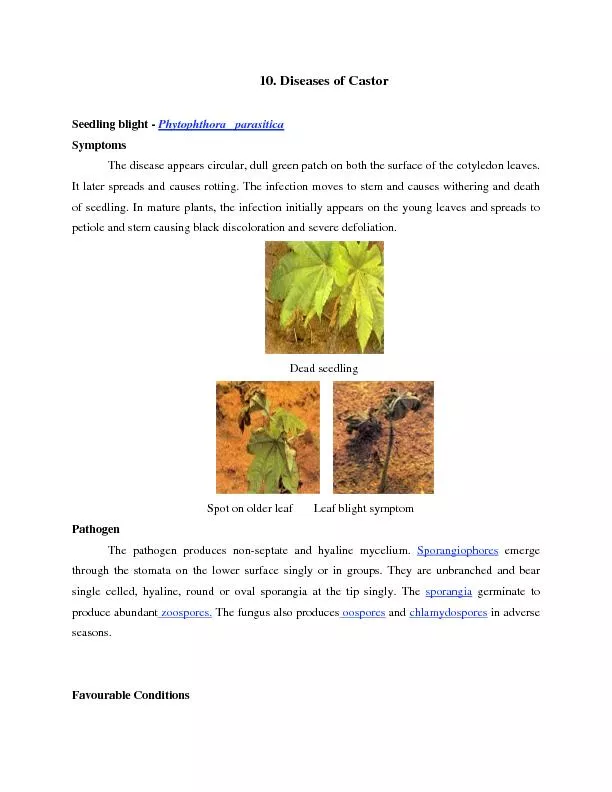 10. Diseases of Castor  Seedling blight - Phytophthora   parasitica
..