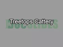 Treetops Cattery