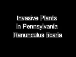 Invasive Plants in Pennsylvania Ranunculus ficaria