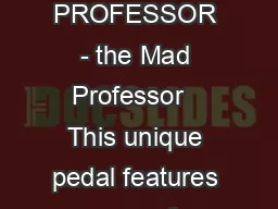 MAD PROFESSOR - the Mad Professor   This unique pedal features one of
