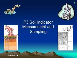 P3 Soil Indicator