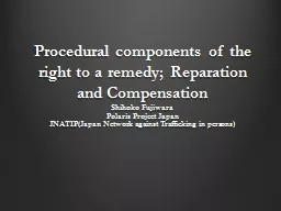 Procedural components of the right to a remedy;