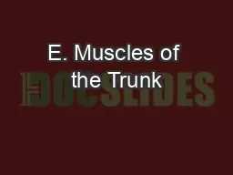 E. Muscles of the Trunk