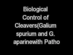 Biological Control of Cleavers(Galium spurium and G. aparinewith Patho