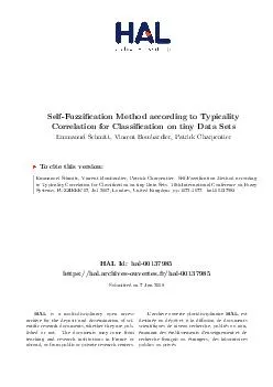 SelfFuzzication Method according to Typicality Correlation for Classication on tiny Data