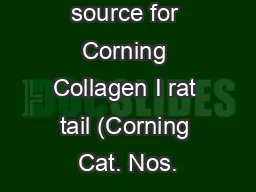 What is the source for Corning Collagen I rat tail (Corning Cat. Nos.