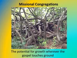 Missional Congregations