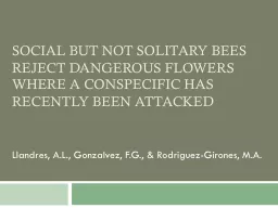 Social but not solitary bees reject dangerous flowers where