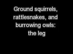 Ground squirrels, rattlesnakes, and burrowing owls: the leg