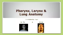 Pharynx, Larynx &