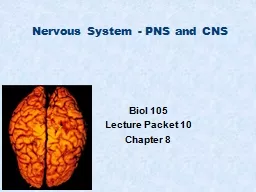Nervous System - PNS and CNS