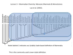 Lecture 3 – Mammalian Diversity: Mesozoic Mammals &
