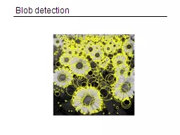Blob detection