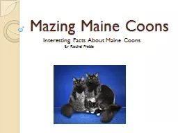 M azing Maine