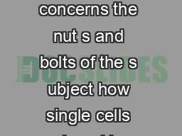 IMPULSES SYNAPSES AND CIRCUITS A large part of neuroscience concerns the nut s and bolts
