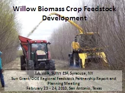 Willow Biomass Crop Feedstock Development
