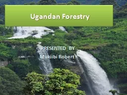 Ugandan Forestry