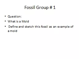 Fossil Group # 1