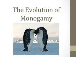 The Evolution of Monogamy