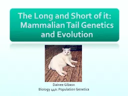 The Long and Short of it: Mammalian Tail Genetics and Evolu