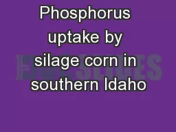Phosphorus uptake by silage corn in southern Idaho