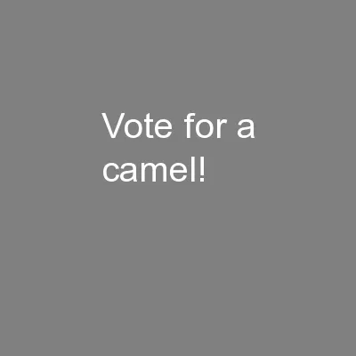 Vote for a camel!