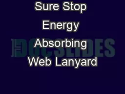 Sure Stop Energy Absorbing Web Lanyard