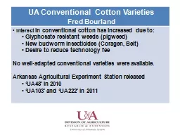 UA Conventional Cotton Varieties