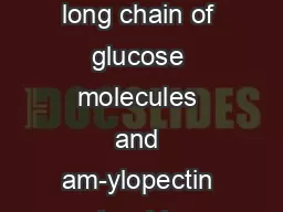 Amylose is a long chain of glucose molecules and am-ylopectin is a hig