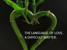 LANGUAGE OF LOVE