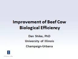 Improvement of Beef Cow Biological Efficiency
