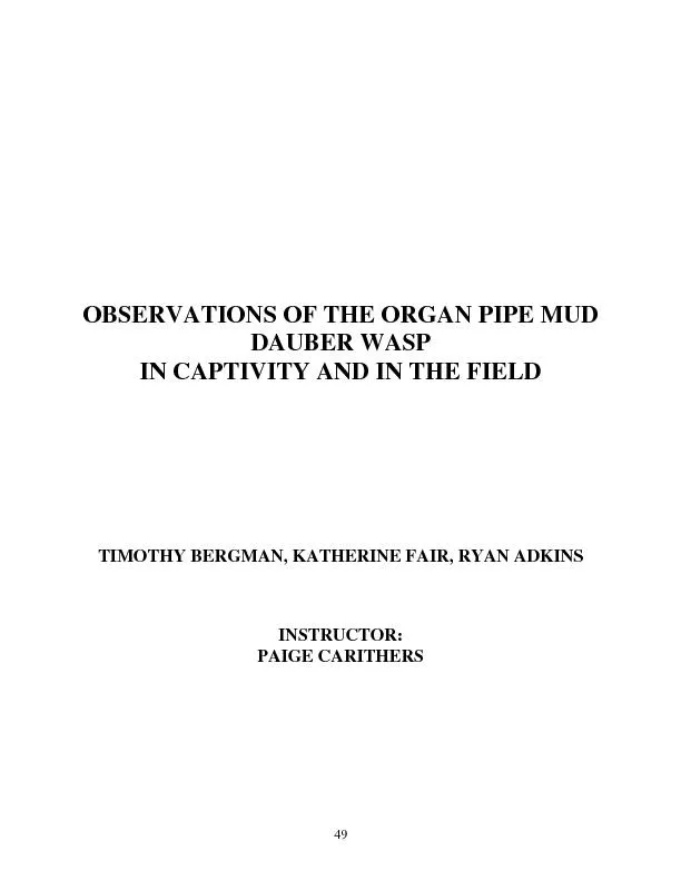 OBSERVATIONS OF THE ORGAN PIPE MUD