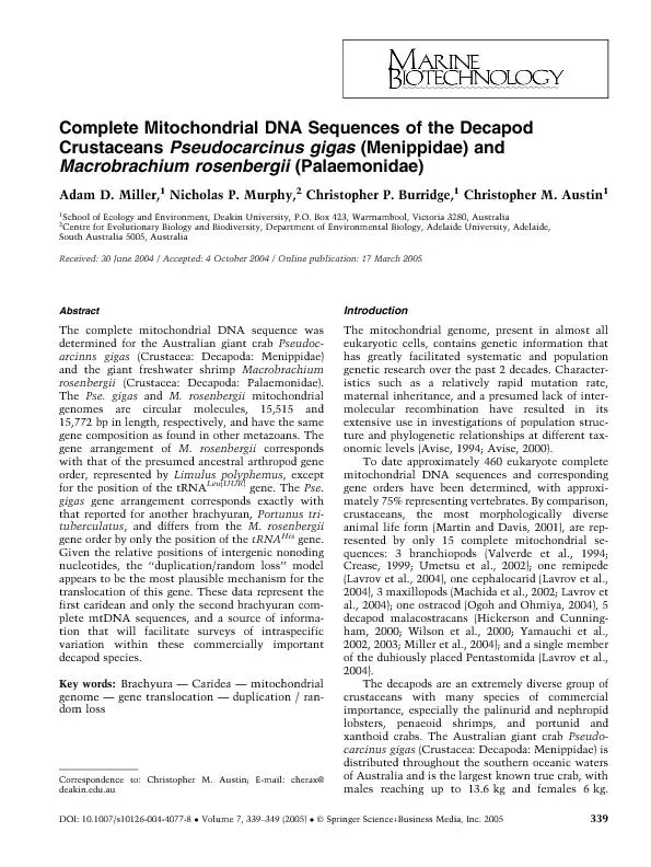 CompleteMitochondrialDNASequencesoftheDecapodCrustaceansPseudocarcinus