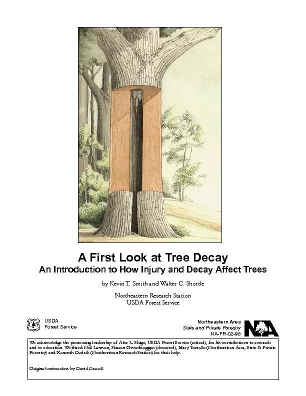A First Look at Tree Decay