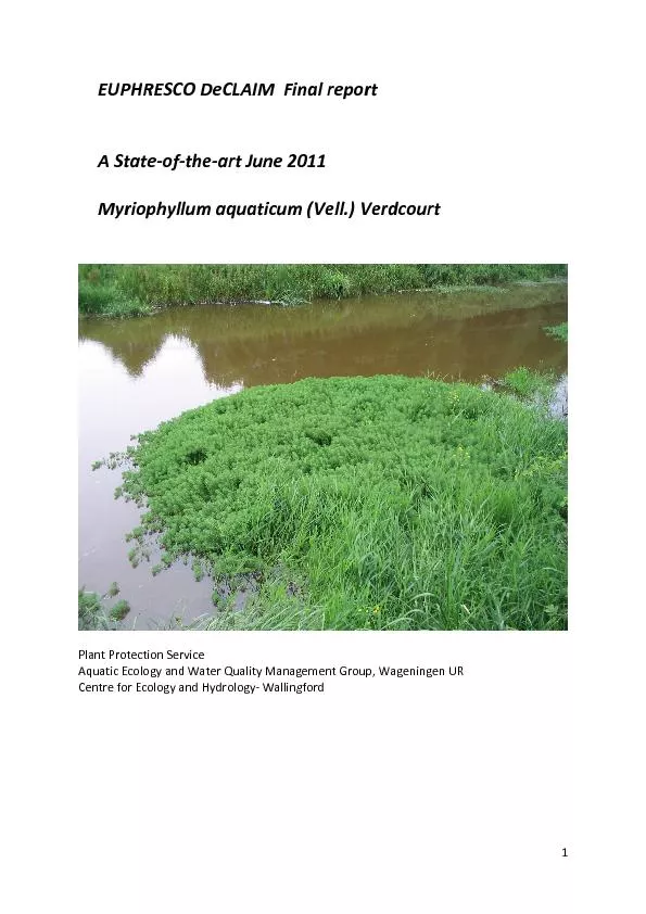 researchranunculoidesEUPHRESCODeCLAIMprototypeweedsrepresentativeform,