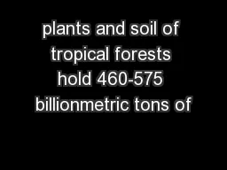 plants and soil of tropical forests hold 460-575 billionmetric tons of