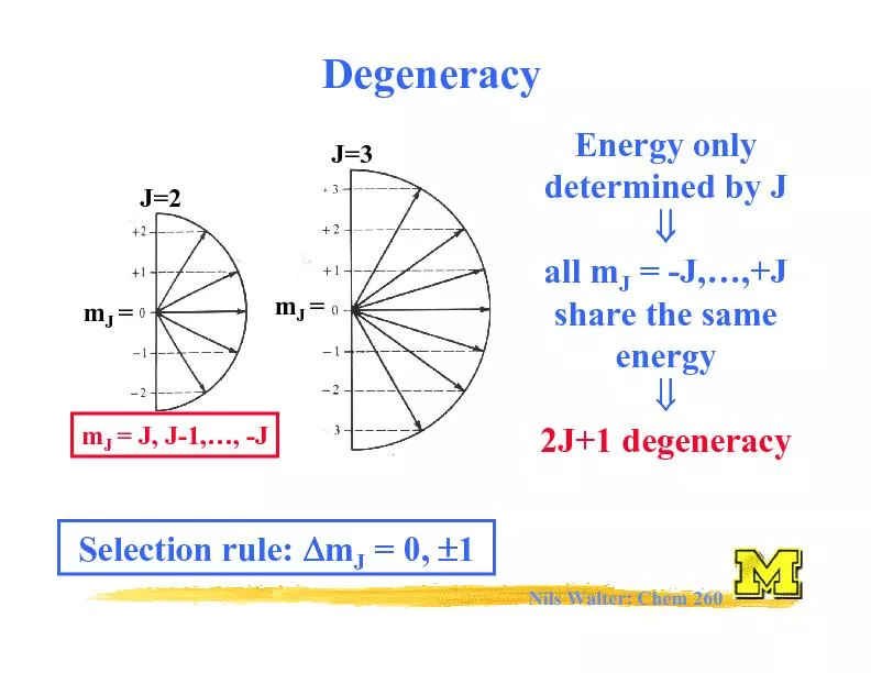 Nils Walter: Chem 260determined by Jshare the same2J+1 degeneracy
...