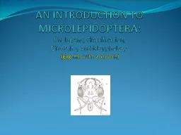AN INTRODUCTION TO MICROLEPIDOPTERA: