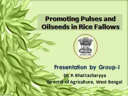 Promoting Pulses and Oilseeds in Rice Fallows