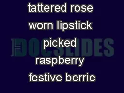 spun sugar tattered rose worn lipstick picked raspberry festive berrie