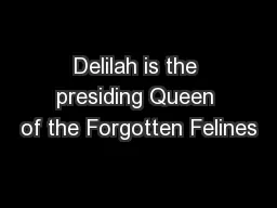 Delilah is the presiding Queen of the Forgotten Felines