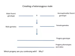 Creating a heterozygous male